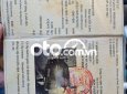 Hyundai Solati BÁN DCAR PRESIDENT PHIÊN BẢN ĐẶC BIỆT 2TY200 XEMƠI 2020 - BÁN DCAR PRESIDENT PHIÊN BẢN ĐẶC BIỆT 2TY200 XEMƠI