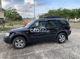 Ford Escape 5 chỗ gầm cao bán hoặc giao lưu xe nhỏ hơn 2004 - 5 chỗ gầm cao bán hoặc giao lưu xe nhỏ hơn