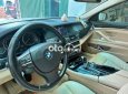 BMW 528i  528I 2010 ghi vàng nhập khẩu Đức 2010 - BMW 528I 2010 ghi vàng nhập khẩu Đức