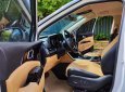 Kia Carnival 2021 - Bán Kia Carnival 2.2D Luxury 2021