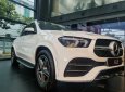 Mercedes-Benz GLE 450 2022 - Xe trưng bày hãng, màu trắng nội thất kem siêu lướt 30 km