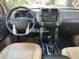 Toyota Land Cruiser Prado  LANDCRUISER PRADO TX-L 2 Cầu 2010 2009 - TOYOTA LANDCRUISER PRADO TX-L 2 Cầu 2010