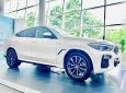 BMW X6 2023 - mới 100%, đủ màu, giảm sâu mấy trăm triệu cho khách mua xe em Dương tháng 7, giao ngay