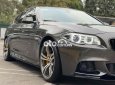 BMW 520i  520i 2014 fulloption chính hãng 2014 - BMW 520i 2014 fulloption chính hãng