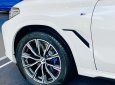 BMW X6 2023 - mới 100%, đủ màu, giảm sâu mấy trăm triệu cho khách mua xe em Dương tháng 7, giao ngay