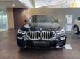 BMW X6 2023 - Giá tốt nhất toàn quốc, mới 100%, đủ màu, giảm sâu mấy trăm triệu cho khách mua xe em Dương tháng 7