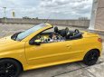 Peugeot 206 Bán xe peugoet  2005 - Bán xe peugoet 206