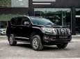 Toyota Land Cruiser Prado 2019 - Bên em hỗ trợ 70% giá trị xe