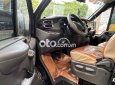 Ford Transit xe   16. chỗ 2021 - xe Ford transit 16. chỗ