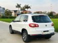 Volkswagen Tiguan Cần bán   2.0 tsi turbo 2010 nhập 2010 - Cần bán volkswagen tiguan 2.0 tsi turbo 2010 nhập