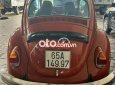 Volkswagen Beetle   1980 - volkswagen beetle