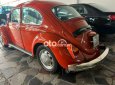 Volkswagen Beetle   1980 - volkswagen beetle