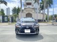 Lexus NX 300 2017 - Lexus NX 300 2017, màu đỏ, odo 65 vạn