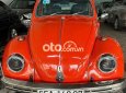 Volkswagen Beetle   1980 - volkswagen beetle