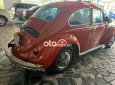 Volkswagen Beetle   1980 - volkswagen beetle