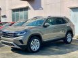 Volkswagen Teramont 2023 - màu nâu, cực đẹp, xe nhập khẩu Mỹ, giá tốt nhất Miền Nam, tổng ưu đãi 320tr, nhiều quà tặng hấp dẫn