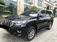 Toyota Land Cruiser Prado 2019 - Tên công ty - Biển HN