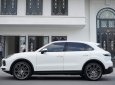 Porsche Cayenne 2019 - Odo 4v9 km, Option full thủng nóc nhà