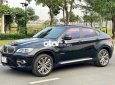 BMW X6 xe 2010 dk 2011 2010 - xe 2010 dk 2011