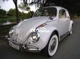 Volkswagen Beetle Xe con Bọ cổ Volkwagen tìm chủ 1980 - Xe con Bọ cổ Volkwagen tìm chủ