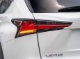 Lexus NX 300 2019 - Hỗ trợ vay tối đa 70% xe