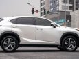 Lexus NX 300 2019 - Hỗ trợ vay tối đa 70% xe