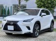 Lexus NX 300 2019 - GIÁ 1 tỷ 790 tr