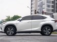 Lexus NX 300 2019 - Hỗ trợ vay tối đa 70% xe