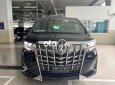 Toyota Alphard  2022 XE ZIN 99.99% 2022 - ALPHARD 2022 XE ZIN 99.99%