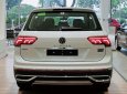 Volkswagen Tiguan Facelift 2023 - Bán ô tô Volkswagen Tiguan Facelift 2023, màu trắng