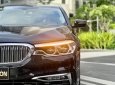 BMW 530i 2018 - 🇩🇪BMW 530i Luxury Line