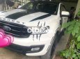 Ford Everest Xe chất 2019 - Xe chất