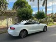 Audi A5   2 cửa thể thao nhập khẩu từ Đức 2009 - Audi A5 2 cửa thể thao nhập khẩu từ Đức