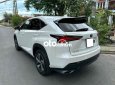 Lexus NX 300   300 xe nhập Nhật, màu trắng, xe zin 2019 - Lexus NX 300 xe nhập Nhật, màu trắng, xe zin