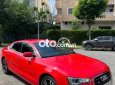 Audi A5   bản sport back , siêu cọp sx 2013 2013 - audi A5 bản sport back , siêu cọp sx 2013