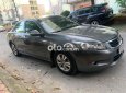 Honda Accord   2010 - honda accord