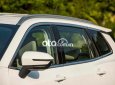 Ford Territory Mua  Nhận Ngay Ưu Đãi Kép 100% TB 2023 - Mua Territory Nhận Ngay Ưu Đãi Kép 100% TB