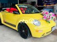 Volkswagen Beetle xe mui trần 2003 - xe mui trần