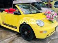 Volkswagen Beetle xe mui trần 2003 - xe mui trần