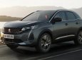 Peugeot 3008 2023 - SHOWROOM PEUGEOT Phú Nhuận hỗ trợ, đồng hành cùng KH - Lái thử, xem xe, tư vấn chốt