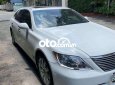 Lexus LS 460   460 bản full oftion 2008 2008 - Lexus LS 460 bản full oftion 2008