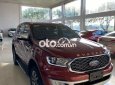 Ford Everest EVERET TITANIUM 4X4 SX2021 XE CHỈ BÀN VỀ GIÁ 2021 - EVERET TITANIUM 4X4 SX2021 XE CHỈ BÀN VỀ GIÁ