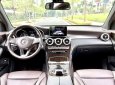 Mercedes-Benz GLC 200 2019 - Mercedes_Benz GLC 200 sản xuất 2019