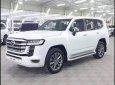 Toyota Land Cruiser 2023 - TOYOTA LAND CRUISER LC300