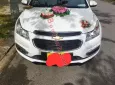 Chevrolet Cruze 2015 - Chính chủ bán xe Chevrolet Cruze LT 1.6 MT 2015