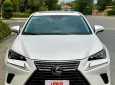 Lexus NX 300 2020 - Lexus NX300 - 2020 - 39.000 Km