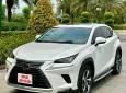 Lexus NX 300 2020 - Lexus NX300 - 2020 - 39.000 Km