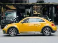 Volkswagen Beetle 2017 - Hàng hiếm đáng sưu tầm