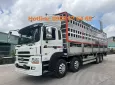 Hyundai HD 320 chở gia súc 2024 - Bán ô tô Hyundai HD 320 chở gia súc 2024, màu trắng