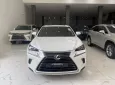 Lexus NX 300 2019 - Chính chủ bán Lexus NX300 mode 2019, sơn zin cả xe, full lịch sử hãng